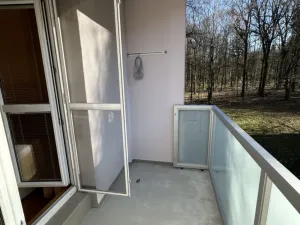 Pronájem bytu 2+1, Ostrava - Zábřeh, Patrice Lumumby, 56 m2