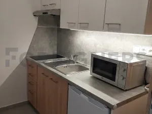 Pronájem bytu 1+kk, Olomouc, Ztracená, 25 m2