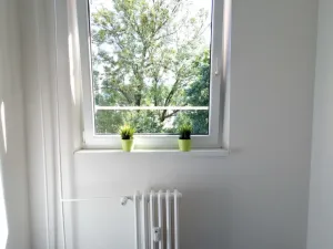 Pronájem bytu 2+1, Ostrava - Zábřeh, Horymírova, 44 m2