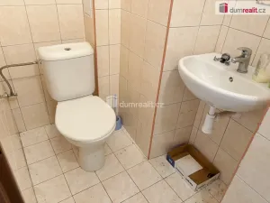 Prodej chalupy, Borovnice, 464 m2