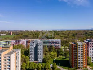 Prodej bytu 3+1, Ostrava - Výškovice, Výškovická, 70 m2