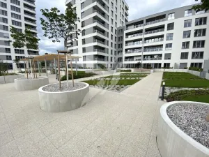 Pronájem bytu 1+kk, Plzeň, Stehlíkova, 30 m2