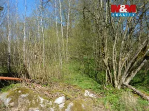 Prodej pozemku pro bydlení, Brzice, 1453 m2