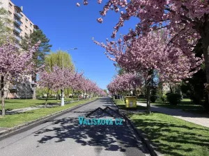 Prodej bytu 2+1, Kroměříž, Vrobelova, 54 m2