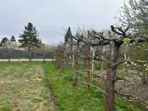 Prodej chaty, Přerov, 27 m2