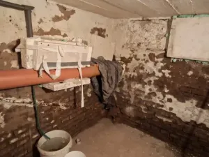 Prodej rodinného domu, Červený Kostelec - Lhota za Červeným Kostelcem, Lipky, 60 m2