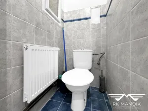 Pronájem bytu 2+kk, Praha - Dejvice, Koulova, 46 m2