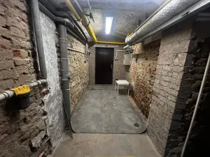 Pronájem - jiné, Praha - Holešovice, Schnirchova, 12 m2