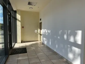 Pronájem obchodního prostoru, Brno, Holandská, 120 m2