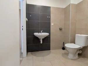Pronájem bytu 2+kk, Peruc, U Koupaliště, 41 m2