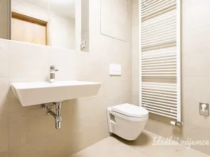 Pronájem bytu 1+kk, Praha - Strašnice, Štěchovická, 34 m2