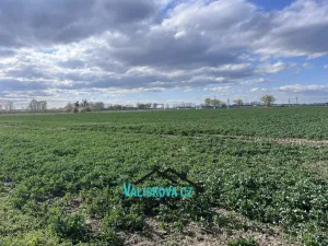 Prodej pozemku, Hulín, 61843 m2