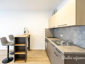 Pronájem bytu 1+kk, Praha - Vysočany, Poděbradská, 35 m2
