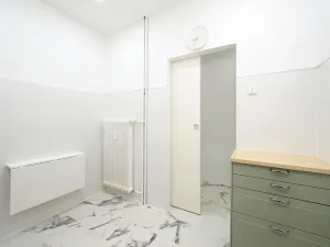 Pronájem bytu 2+1, Praha - Žižkov, Křivá, 50 m2