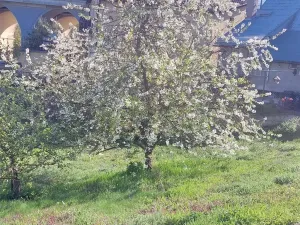 Prodej rodinného domu, Úvaly, Hálkova, 85 m2