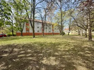 Pronájem bytu 1+1, Plzeň, Kyjevská, 28 m2