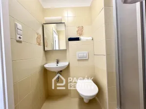 Prodej bytu 1+1, Olomouc, Nešporova, 33 m2