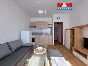 Prodej bytu 1+kk, Klášterec nad Ohří - Miřetice u Klášterce nad Ohří, Královéhradecká, 19 m2