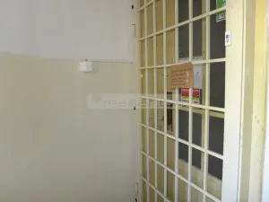 Prodej bytu 2+kk, Plzeň - Východní Předměstí, Guldenerova, 55 m2