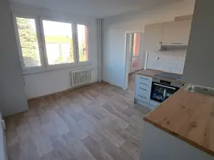 Pronájem bytu 1+1, Písek, Harantova, 37 m2