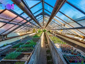 Prodej rodinného domu, Orlová, 17. listopadu, 160 m2