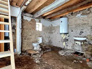 Prodej rodinného domu, Ptýrov - Ptýrovec, 205 m2