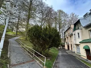 Prodej bytu 1+kk, Mariánské Lázně, 22 m2