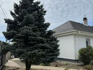 Pronájem rodinného domu, Úvaly, Purkyňova, 160 m2