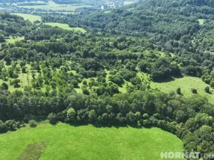 Prodej louky, Vojkovice - Jakubov, 199287 m2