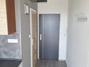 Pronájem bytu 1+1, Aš, Dlouhá, 35 m2