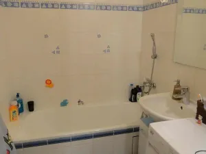 Pronájem bytu 2+1, Brno - Nový Lískovec, Koniklecová, 53 m2