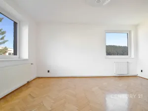 Pronájem bytu 3+1, Děčín, Slezská, 89 m2