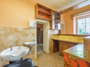 Prodej obchodního prostoru, Karlovy Vary, Rohová, 112 m2