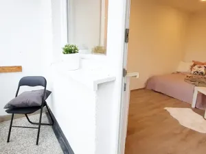 Pronájem bytu 1+1, Brno, Fričova, 46 m2