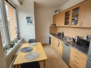 Pronájem bytu 2+1, Brno, Nové sady, 55 m2