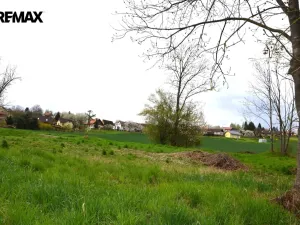 Prodej louky, Podhradí, 744 m2