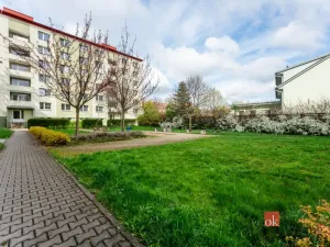 Pronájem bytu 2+1, Vyškov - Vyškov-Předměstí, Tyršova, 63 m2