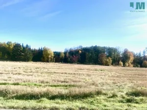 Prodej komerčního pozemku, Želetava - Šašovice, 1354 m2