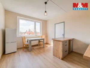 Pronájem bytu 1+1, Teplá, Palackého, 41 m2