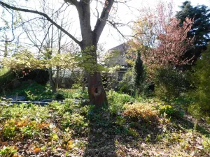 Prodej pozemku, Lhota, 3645 m2