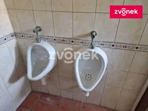 Prodej výrobních prostor, Louka, 2890 m2