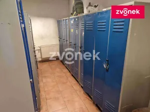 Prodej výrobních prostor, Louka, 2890 m2