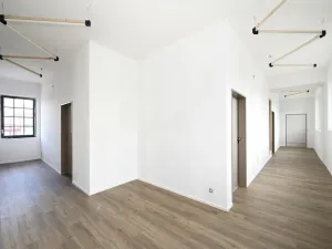 Pronájem ordinace, Hradec Králové, Pospíšilova, 49 m2