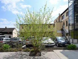 Pronájem ordinace, Hradec Králové, Pospíšilova, 49 m2