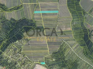 Prodej sadu/vinice, Dolní Kounice, 1926 m2