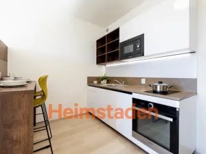 Pronájem bytu 1+kk, Plzeň - Jižní Předměstí, Magisterská, 28 m2