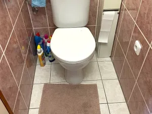 Prodej rodinného domu, Uherský Brod, Sadová, 143 m2