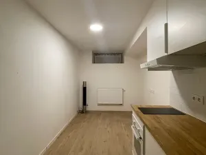 Prodej bytu 1+kk, Praha - Nusle, Pod vilami, 20 m2