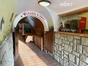 Pronájem restaurace, Frýdlant nad Ostravicí, 85 m2