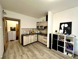 Pronájem bytu 1+kk, Praha - Bubeneč, dr. Zikmunda Wintra, 31 m2